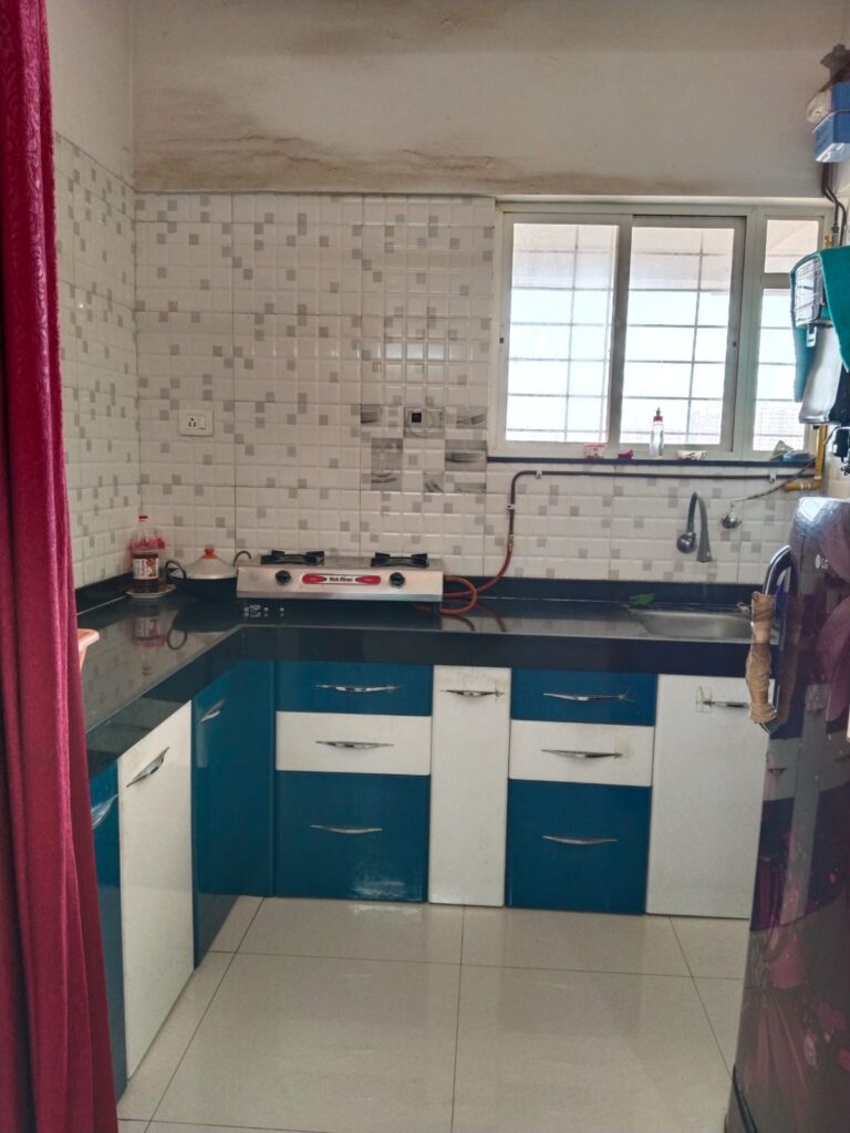 1 BHK Punawale Ready To Move